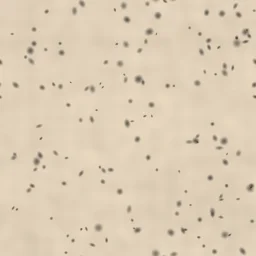 White Cork — Cork Texture Generator