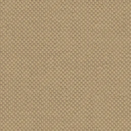 Canvas — Fabric Generator