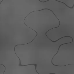 Concrete Gray — Plaster Texture Generator